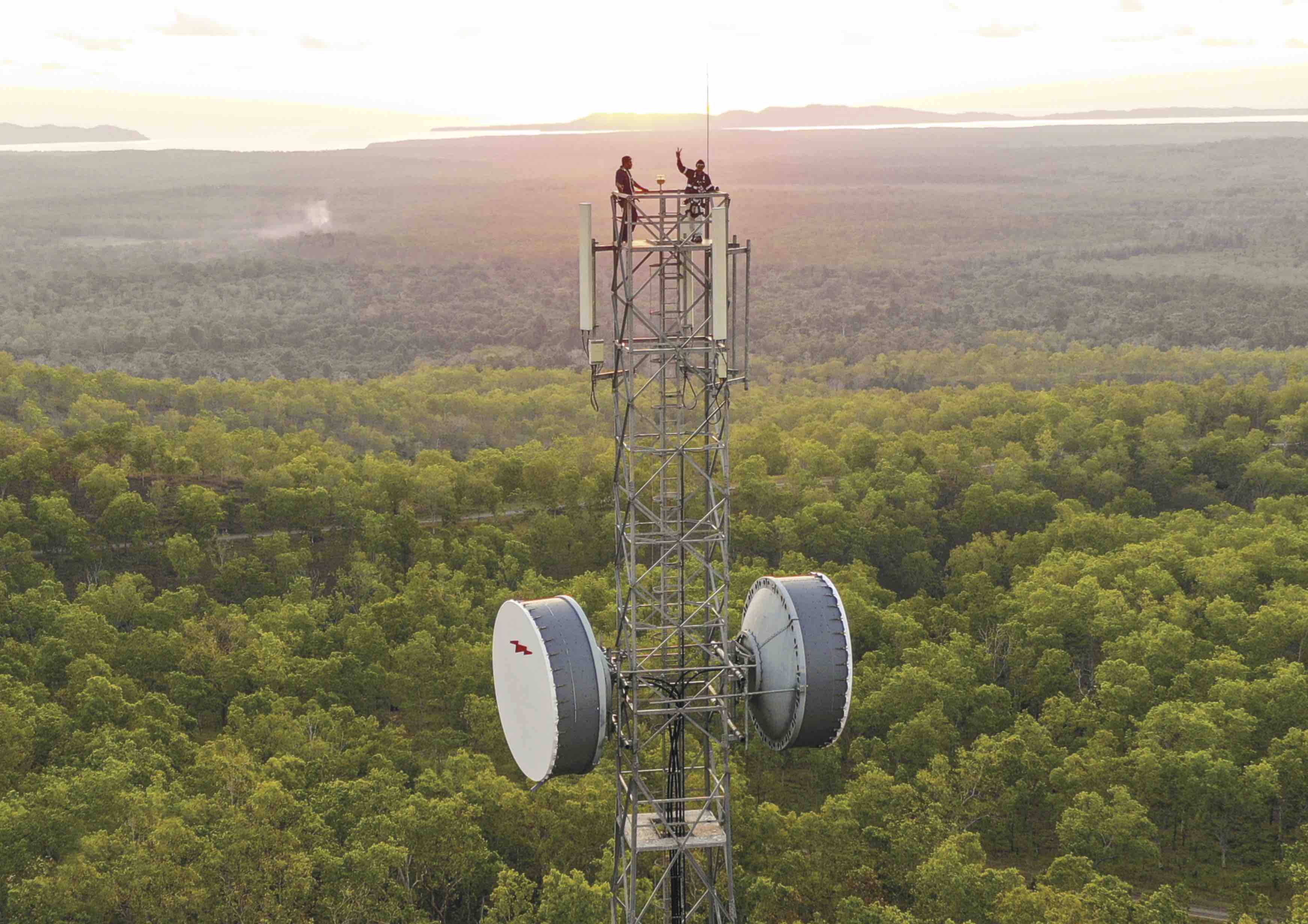 mobile phone tower in a forest